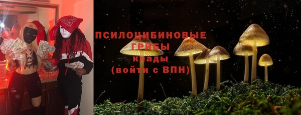 хмурый Зеленодольск