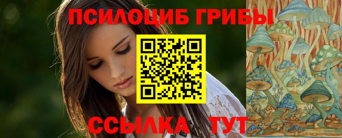 Среднеуральск  Галлюциногенные грибы прущие грибы  Вход с VPN  Галлюциногенные грибы прущие грибы 