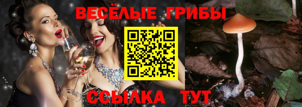 Псилоцибиновые грибы Magic Shrooms Среднеуральск